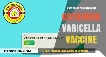Barriers to Varicella Vaccination: Understanding the Challenges for Children