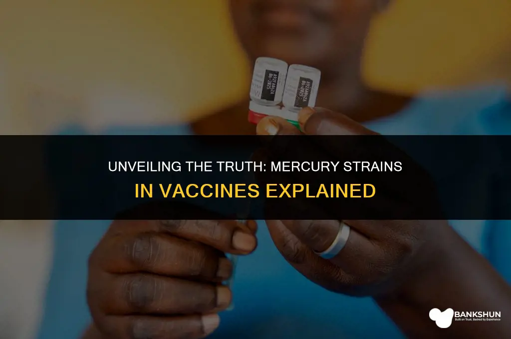 what strain of mercury is in vaccines