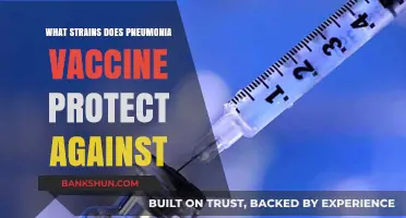 Shielding Against Pneumonia: A Guide to Vaccine-Protected Strains