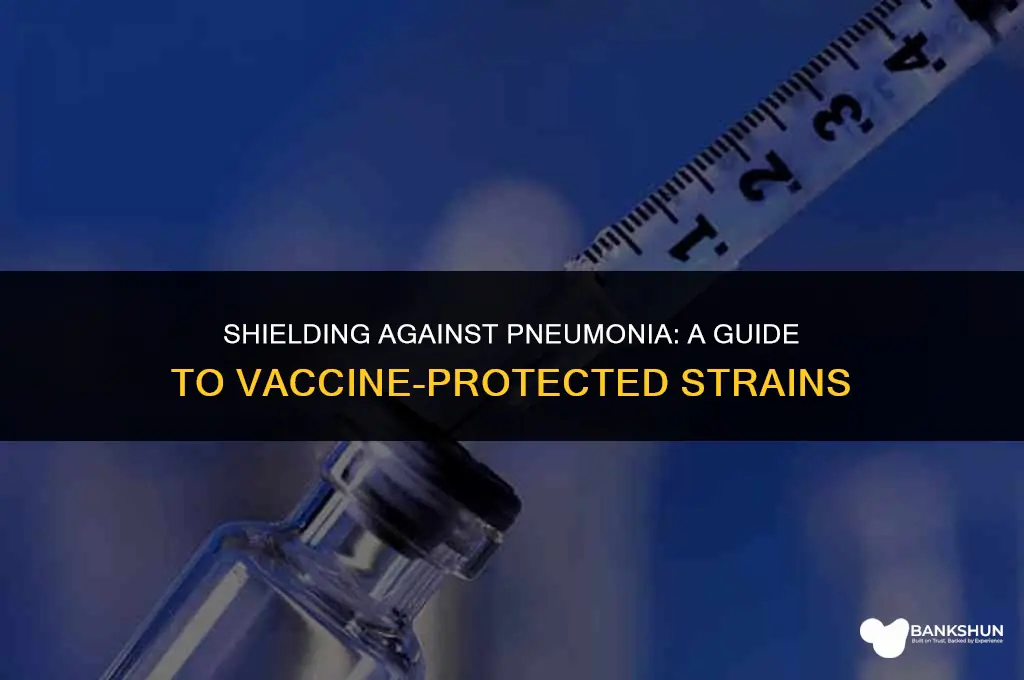 what strains does pneumonia vaccine protect against
