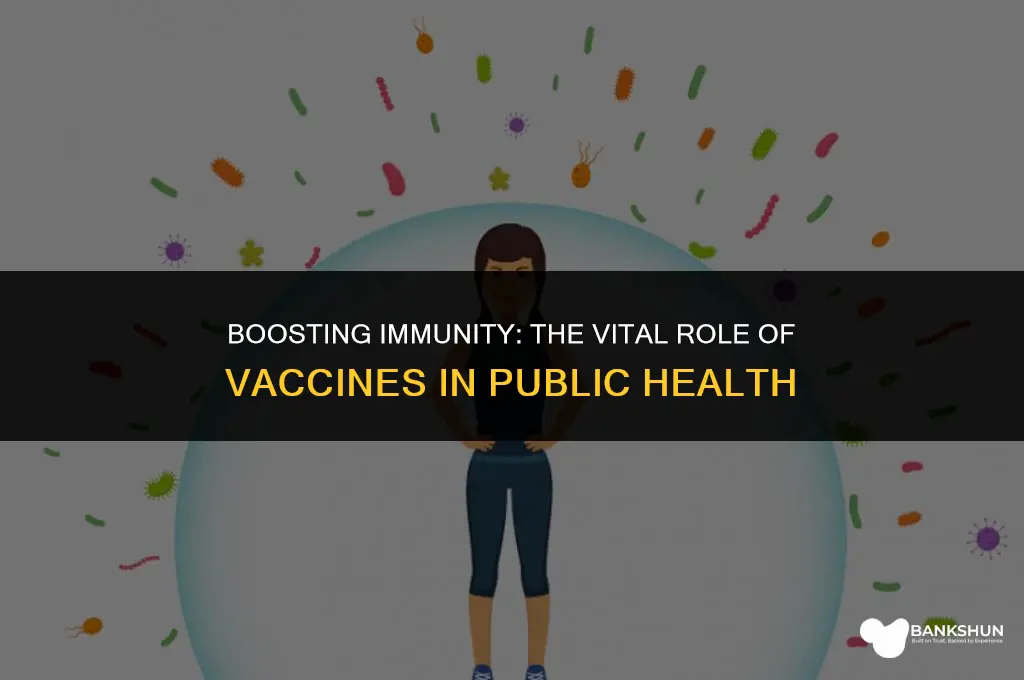 what system does vaccines help us with