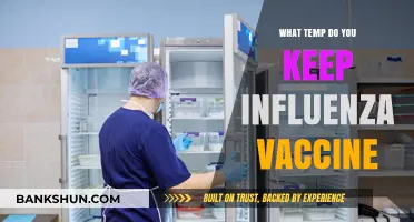 Optimal Storage Temperature for Influenza Vaccines: A Guide