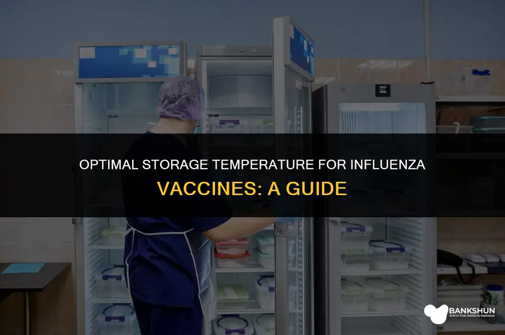 what temp do you keep influenza vaccine