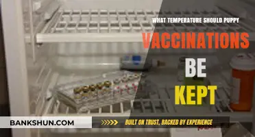Optimal Storage Temperature for Puppy Vaccinations: A Guide