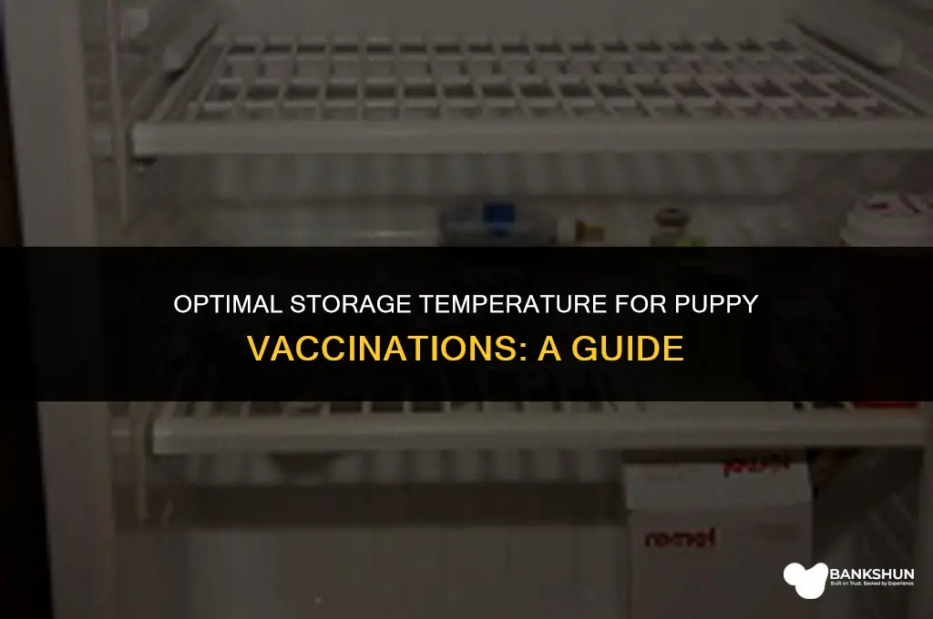 what temperature should puppy vaccinations be kept