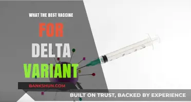 Combatting Delta: The Most Effective Vaccine Options Explored