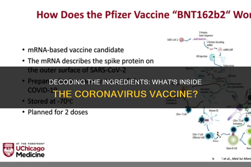 what the coronavirus vaccine is made of