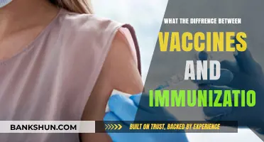 Understanding the Crucial Difference Between Vaccines and Immunizations
