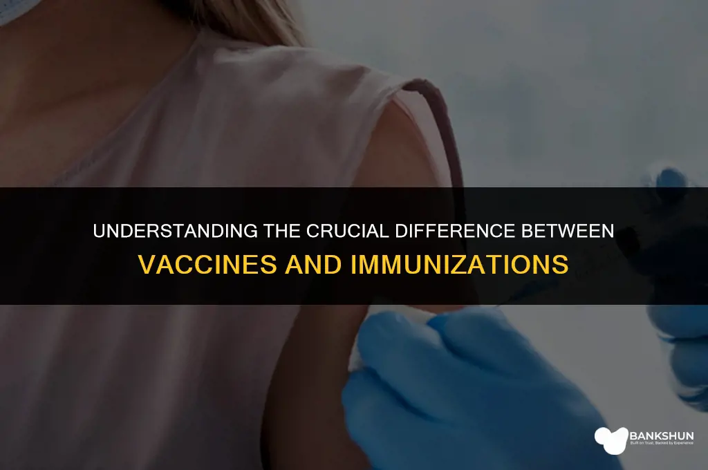 what the diffrence between vaccines and immunizations