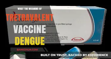 Decoding the Power of Tetravalent Dengue Vaccines: A Comprehensive Guide