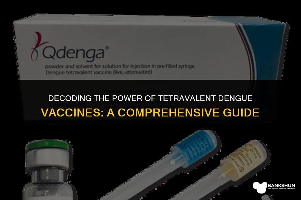 what the meaning of tretravalent vaccine dengue
