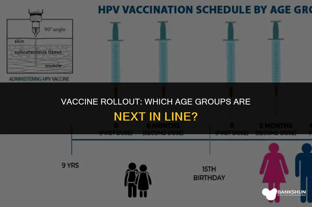 what the next age groups for vaccine