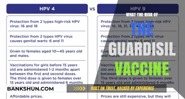 Exploring the Risks and Benefits of the Gardasil Vaccine