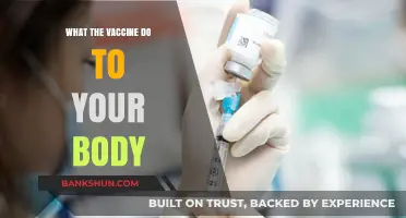 Unveiling the Science: How Vaccines Safeguard Your Health