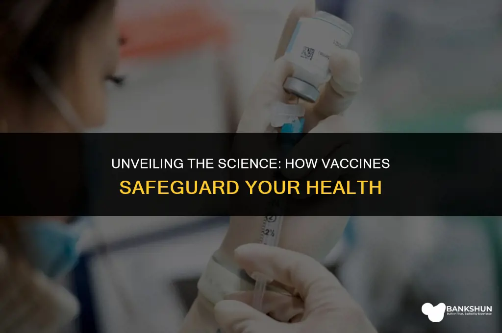 what the vaccine do to your body