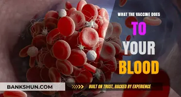 Decoding the Effects: How COVID-19 Vaccines Influence Your Blood