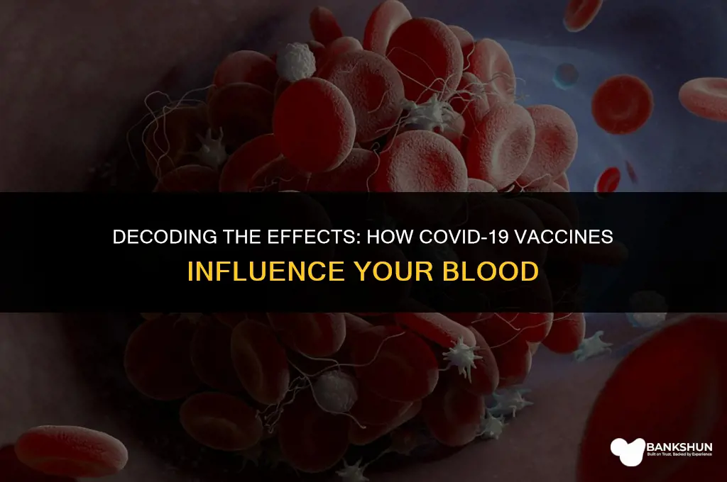 what the vaccine does to your blood