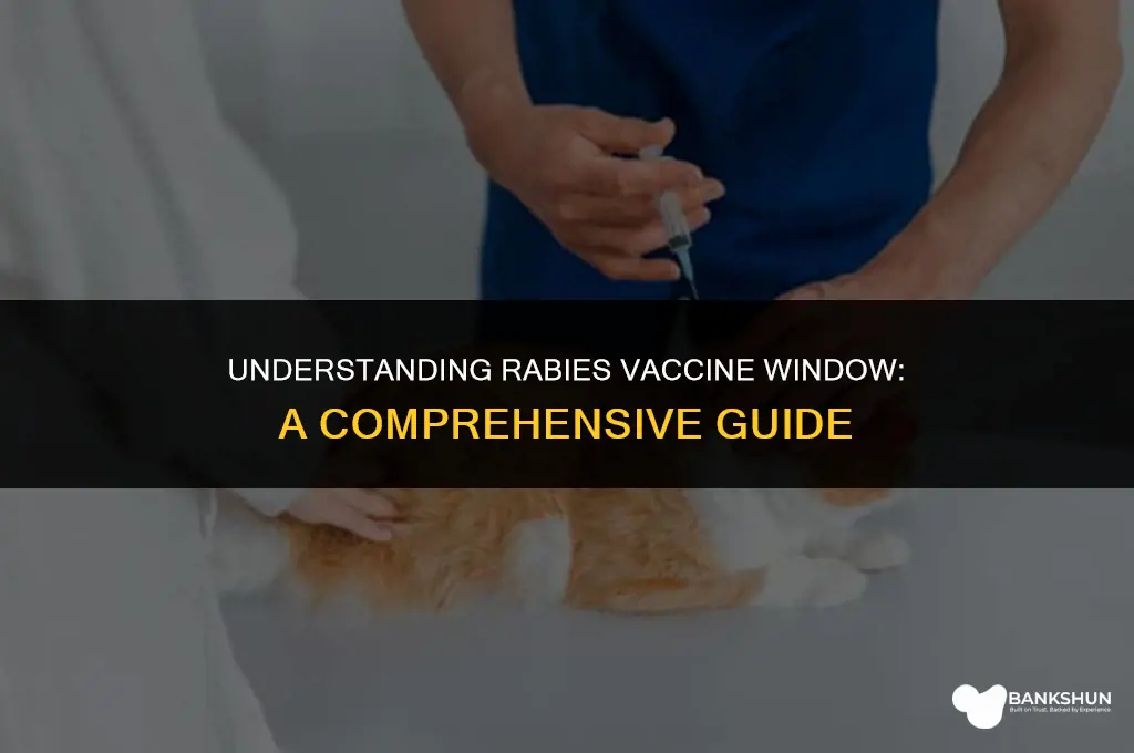 what the window time for rabies vaccine