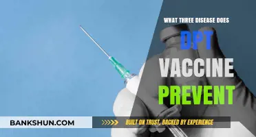 Safeguarding Health: The DPT Vaccine's Defense Against Three Deadly Diseases