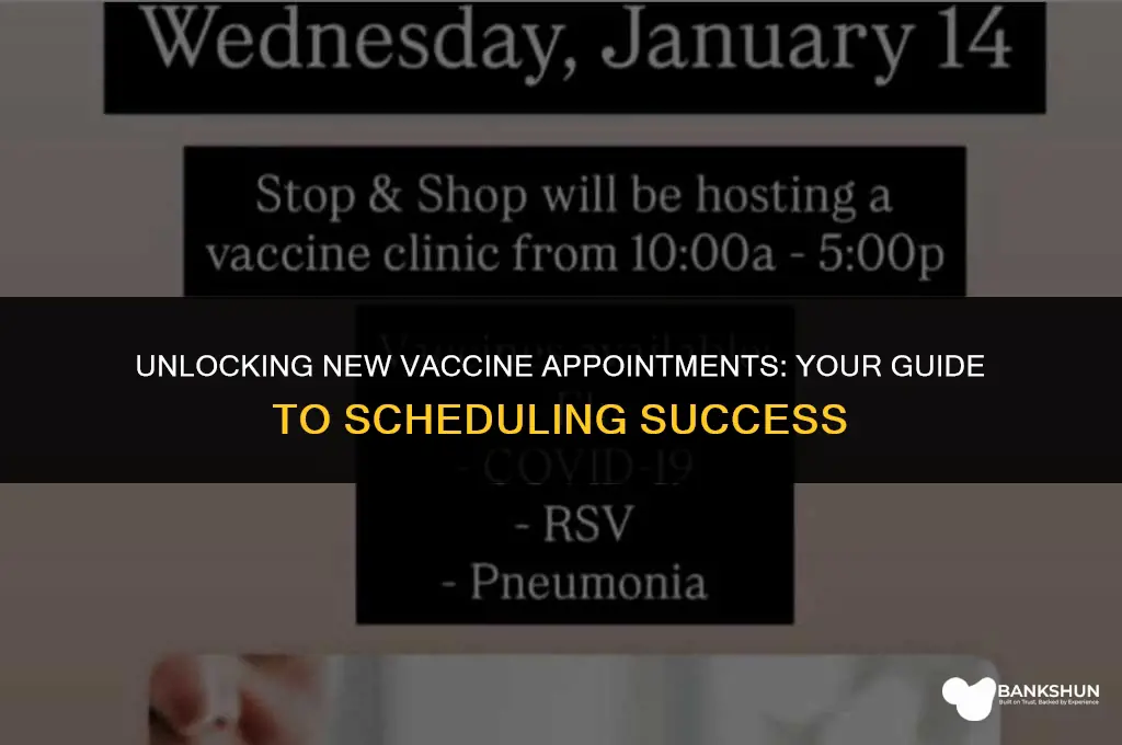 what time are new vaccine appointments released