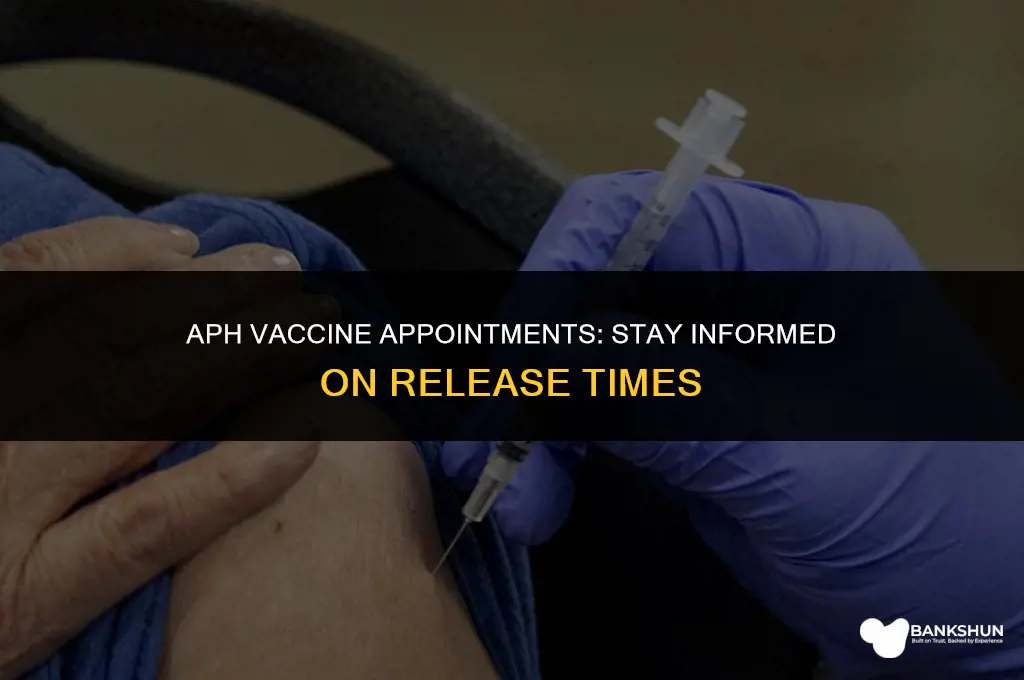 what time does aph release vaccine appointments