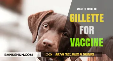 Essential Items to Pack for Your Vaccine Appointment at Gillette