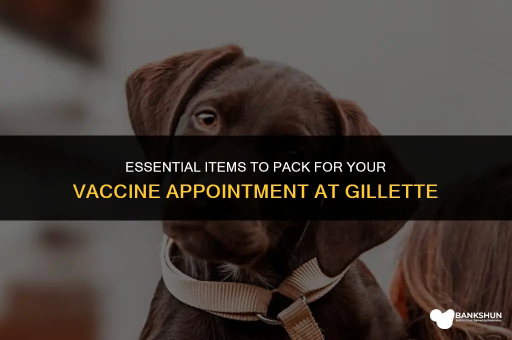 what to bring to gillette for vaccine