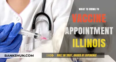 Illinois Vaccine Appointment: Essential Items to Bring Along