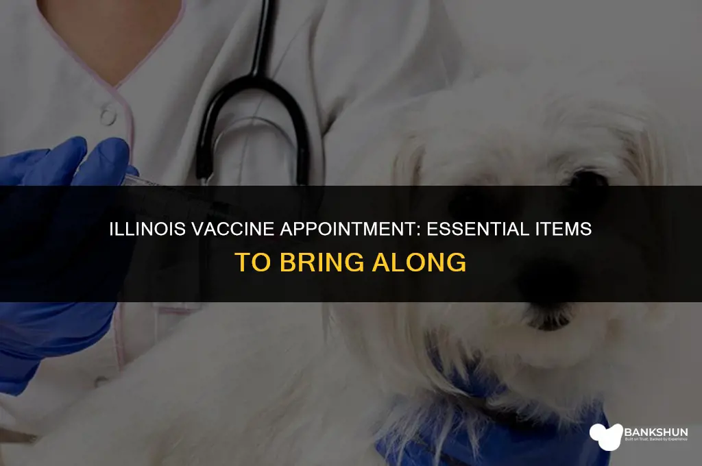 what to bring to vaccine appointment illinois