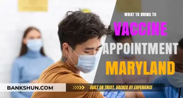 Essential Items to Bring to Your Vaccine Appointment in Maryland