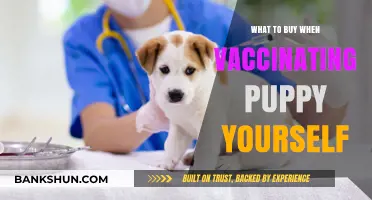 DIY Puppy Vaccination: Essential Supplies for a Healthy Start