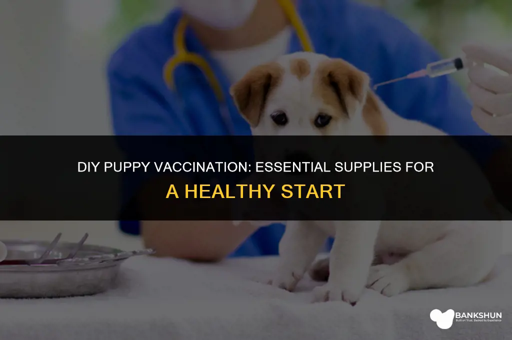 what to buy when vaccinating puppy yourself