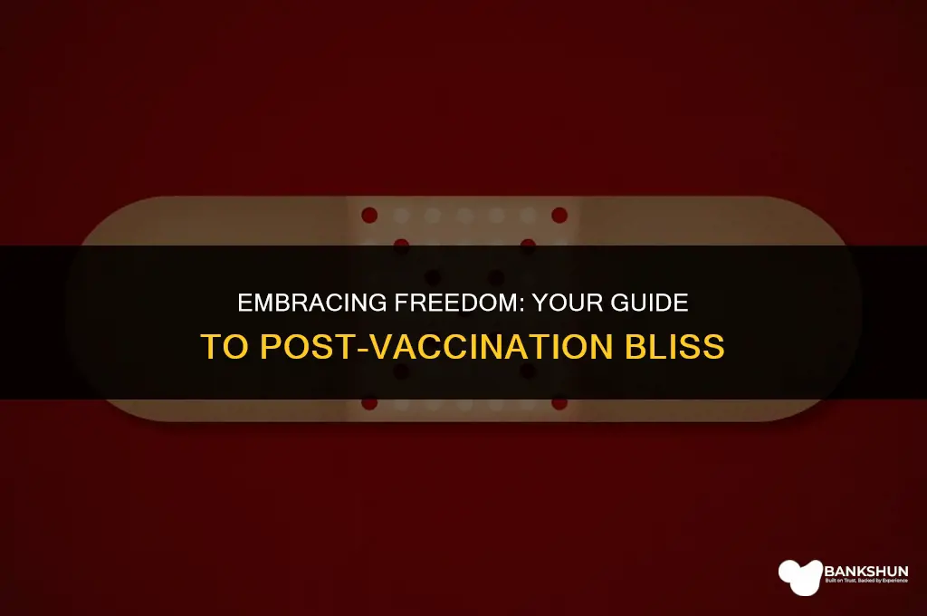 what to do after being fully vaccinated
