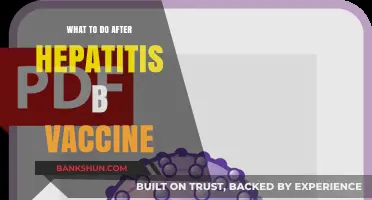 Post-Hepatitis B Vaccine Care: A Comprehensive Guide