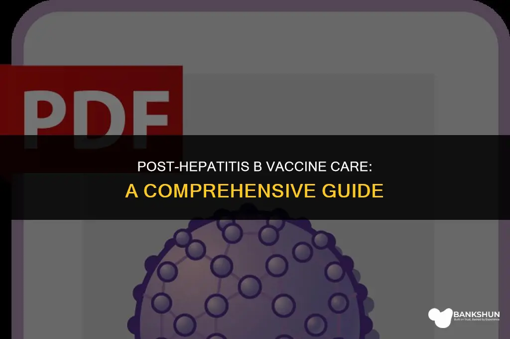 what to do after hepatitis b vaccine