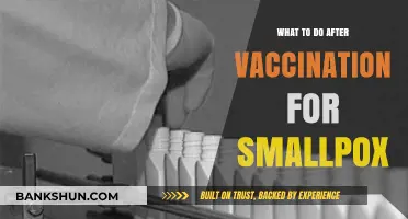 Post-Vaccination Care: Your Guide to Smallpox Recovery