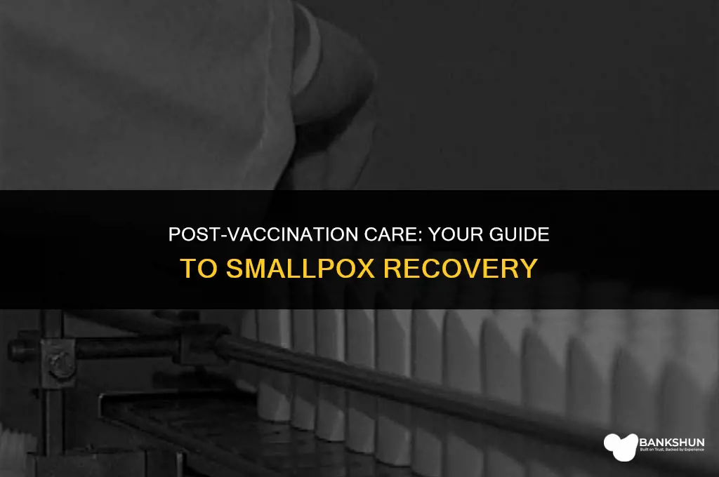 what to do after vaccination for smallpox