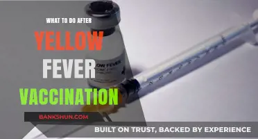 Post-Yellow Fever Vaccination Care: A Comprehensive Guide