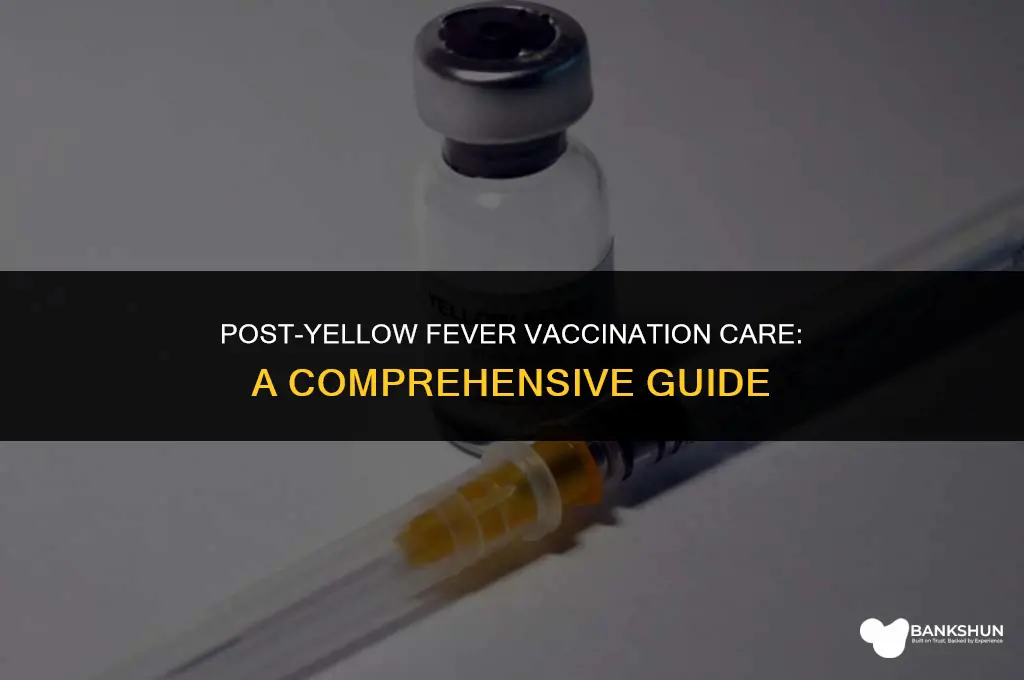 what to do after yellow fever vaccination