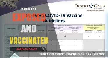 Stay Calm and Informed: Navigating Exposure Post-Vaccination
