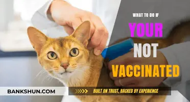 Exploring Options: What to Do If You're Not Vaccinated