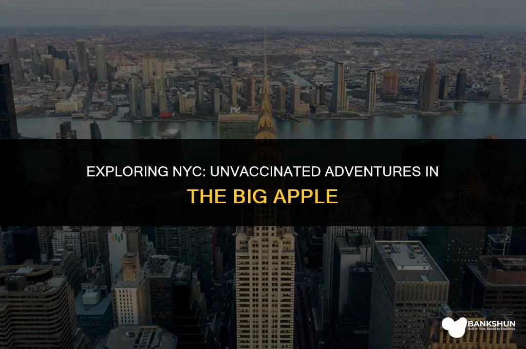 what to do in nyc without vaccine