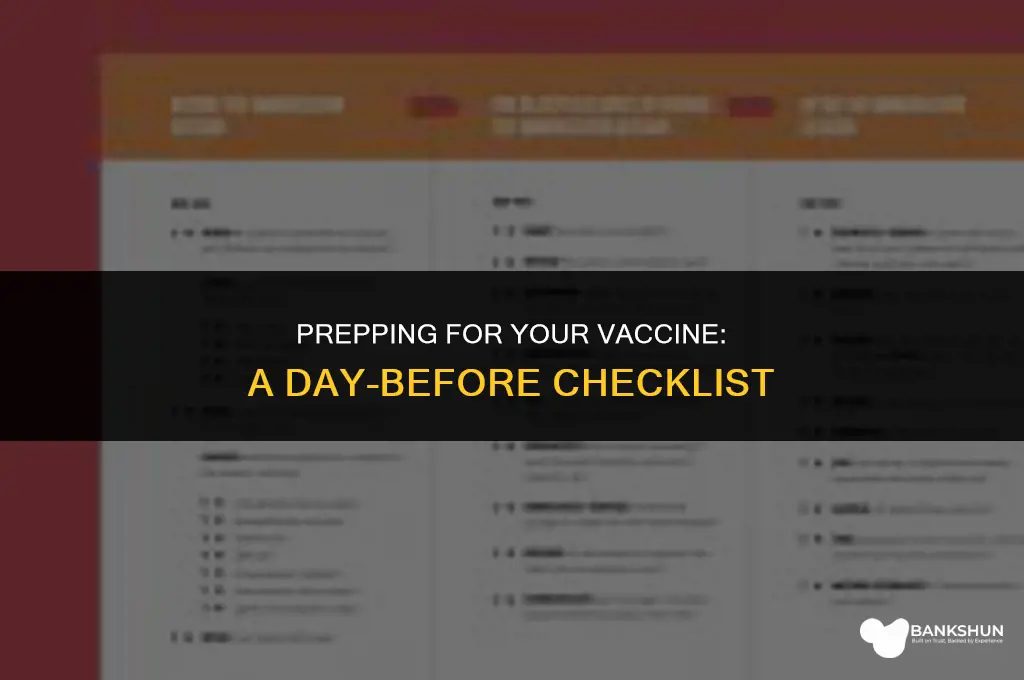 what to do the day before vaccination