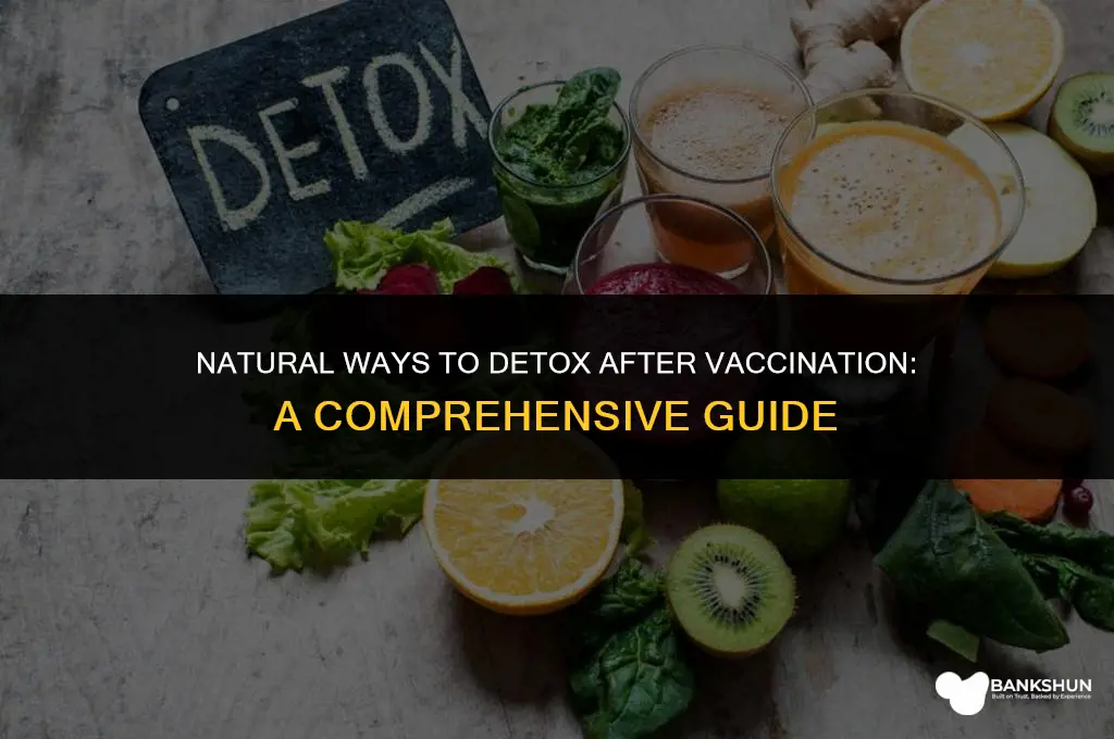 what to do too detox from vaccines