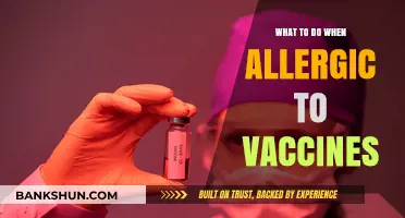 Navigating Vaccine Allergies: A Guide to Safe Immunization Practices
