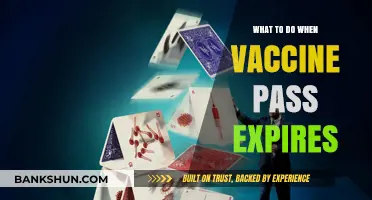 Navigating Vaccine Pass Expiry: Your Guide to Renewal and Options