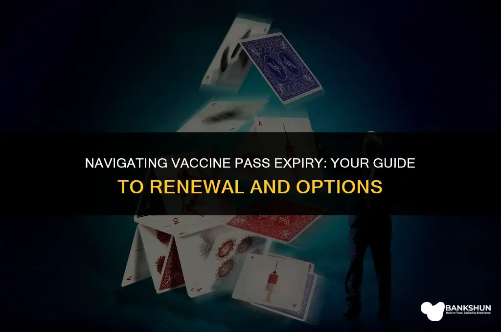 what to do when vaccine pass expires