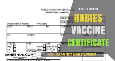 Rabies Vaccine Certificate: Essential Steps for Proper Use and Storage
