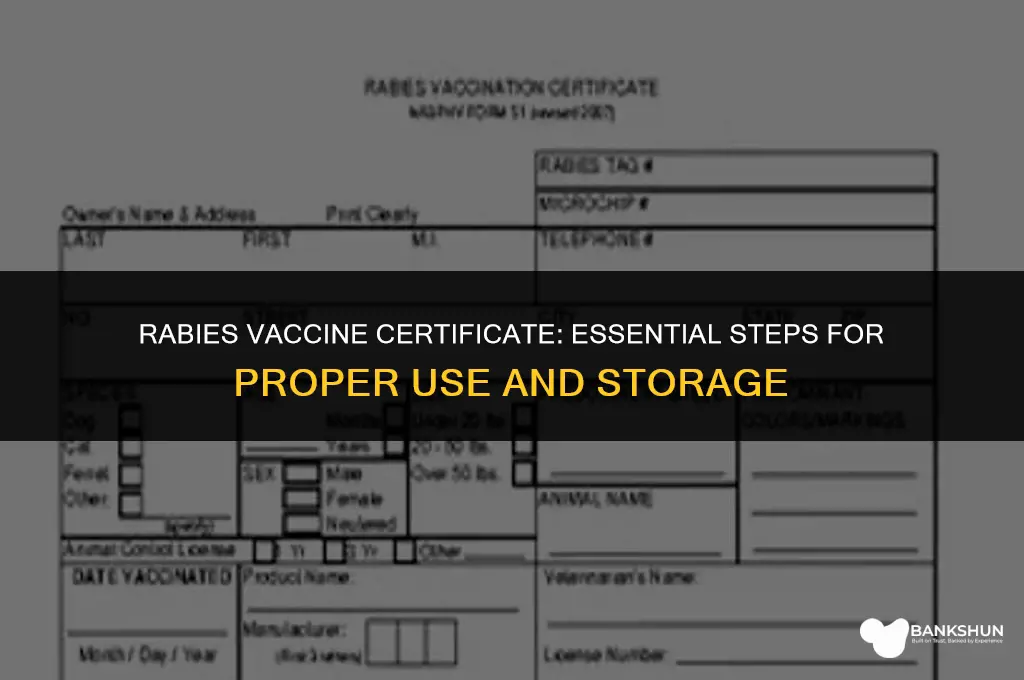 what to do with rabies vaccine certificate
