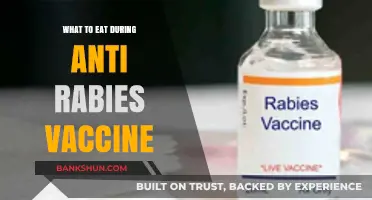 Diet Guide: What to Eat During Your Anti-Rabies Vaccine Journey